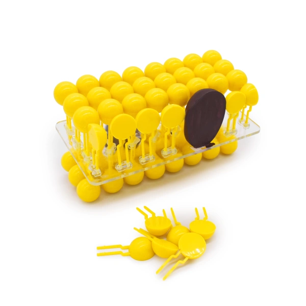 Модель «Строение клеточной оболочки», разборная